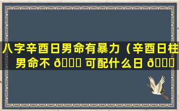 八字辛酉日男命有暴力（辛酉日柱男命不 🐈 可配什么日 🐅 ）